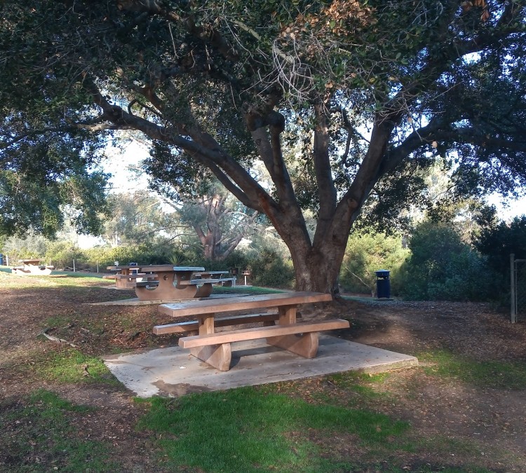 oakcrest-park-photo